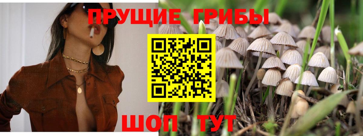 Урай  Псилоцибиновые грибы Cubensis  Галлюциногенные грибы Cubensis  Вход с VPN 