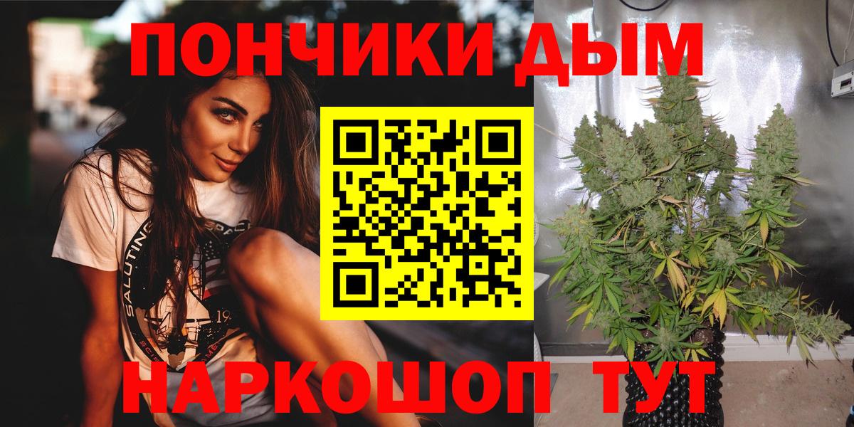 Каннабис сатива Урай